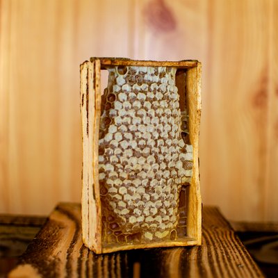 Стільниковий мед  AM0011 фото